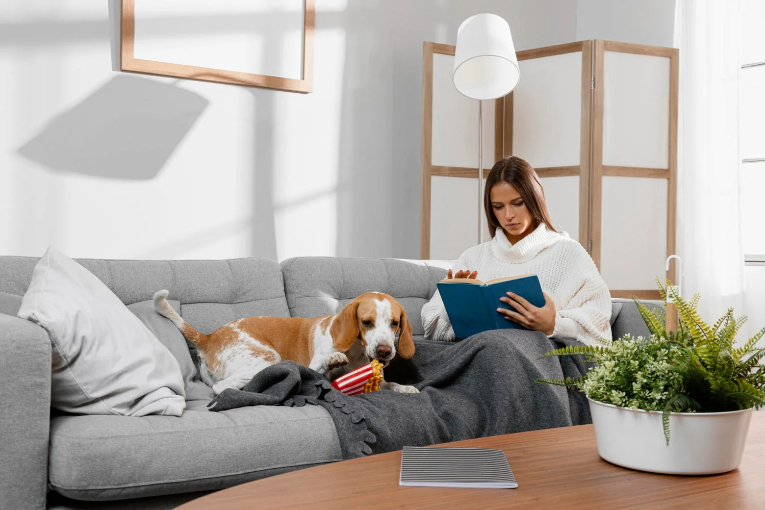 5 Best Sofa Shops in Reading - Explore seating for your living room