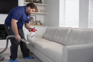5 Best Upholstery Cleaners in Salt Lake City - Explore stain removal for sofas, chairs, and cushions